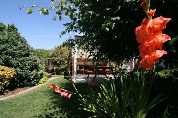 Shearwater Cottages Port Sorell Bagian luar foto